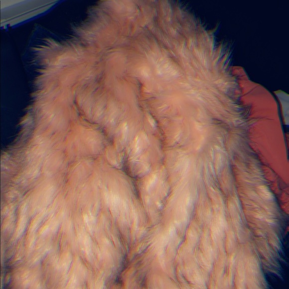 Clothes - Picture 2 of 2